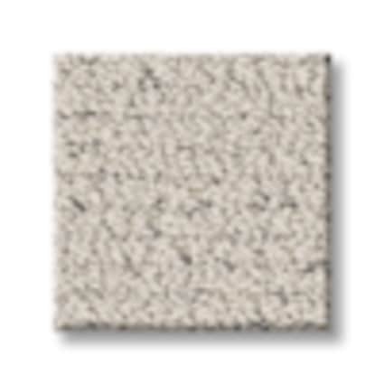 Shaw Washington Heights Space Pattern Carpet with Pet Perfect-Sample